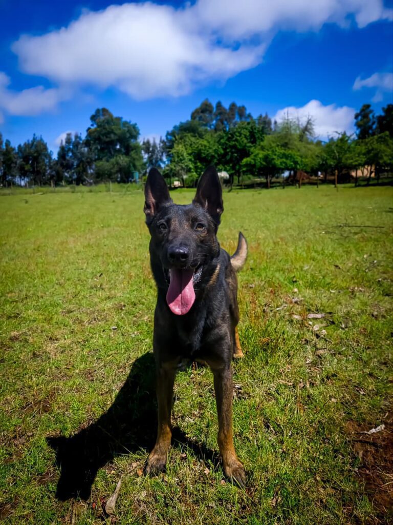 WhatsApp Image 2025-08-14 at 02.10.46_2963c00c