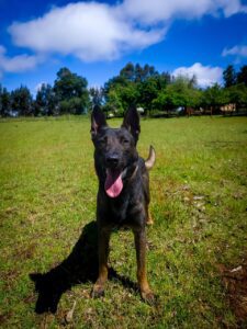 WhatsApp Image 2025-08-14 at 02.10.46_2963c00c