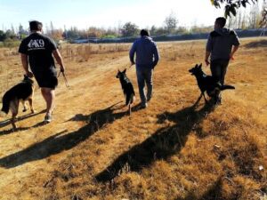 WhatsApp Image 2025-09-11 at 02.48.30_e86a02c6